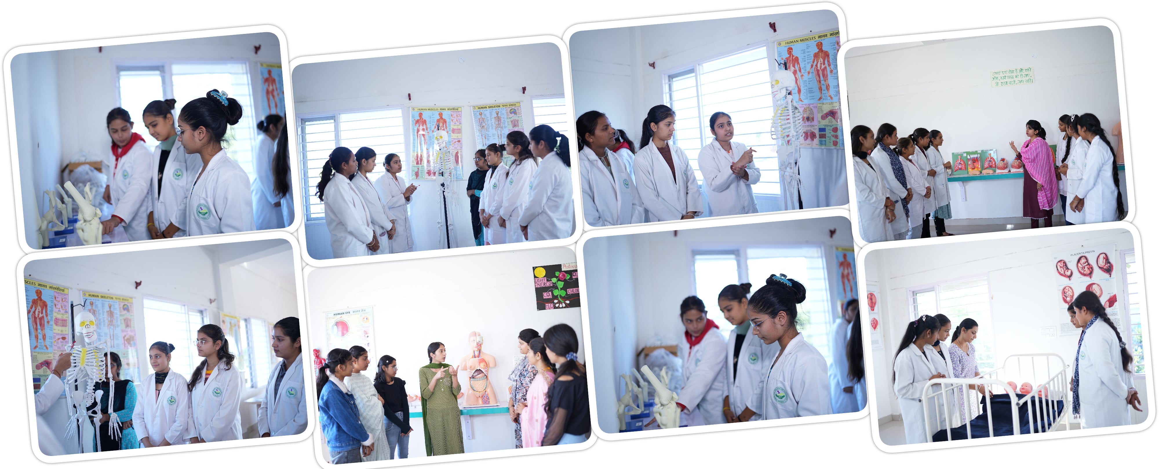 Minerva College Of Nursing Kangra Best Nursing College In Kangra